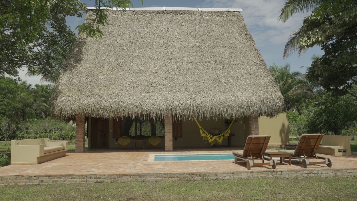 Descuento del 30 por ciento savanna