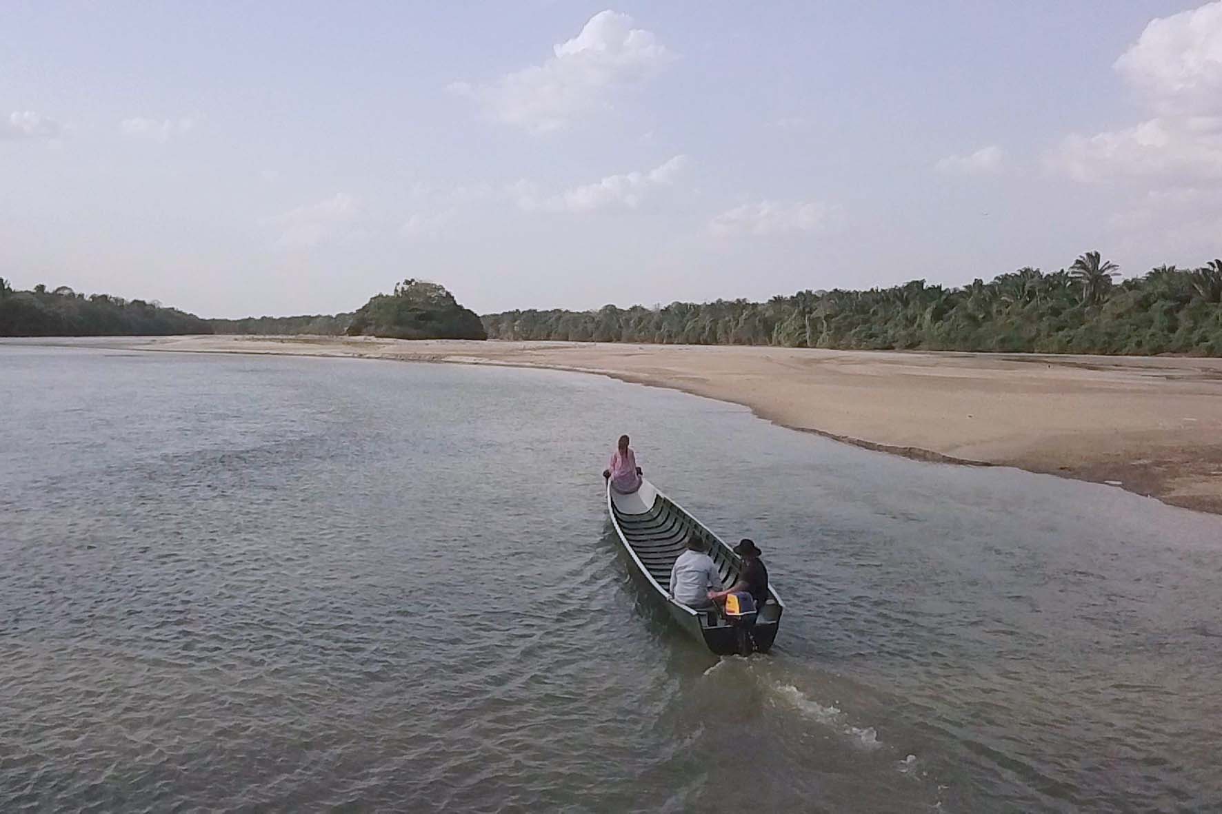 Bongo río Cravo Sur